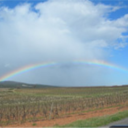 Langudoc Roussillon Region, France,   Thanks to Cousin Philip for photo & M25 photo on previous page